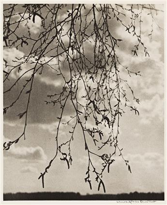 LAURE ALBIN-GUILLOT. Ciels.